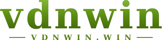 vdnwin logo